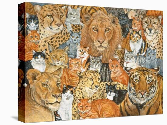 Semi Wild Cat Spread-Ditz-Stretched Canvas