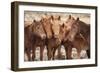 Semi-wild Mongolian horses keeping close in the Mongolian steppes, Mongolia, Central Asia, Asia-Frederic Courbet-Framed Photographic Print