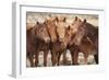 Semi-wild Mongolian horses keeping close in the Mongolian steppes, Mongolia, Central Asia, Asia-Frederic Courbet-Framed Photographic Print