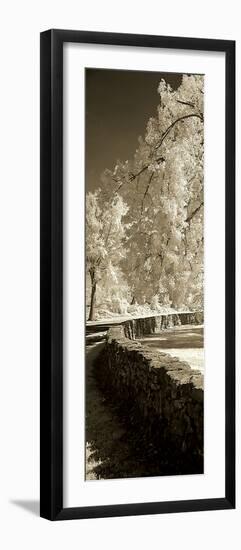 Seminary Wall Panel-Alan Hausenflock-Framed Photographic Print