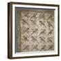 Semis de perroquets enrubannés (fragment de mosaïque de pavement)-null-Framed Giclee Print