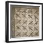 Semis de perroquets enrubannés (fragment de mosaïque de pavement)-null-Framed Giclee Print