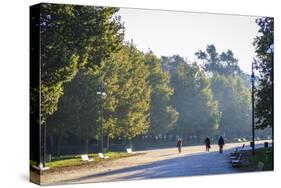 Sempione Park, Milan, Lombardy, Italy, Europe-Yadid Levy-Stretched Canvas