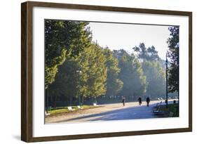 Sempione Park, Milan, Lombardy, Italy, Europe-Yadid Levy-Framed Photographic Print