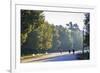 Sempione Park, Milan, Lombardy, Italy, Europe-Yadid Levy-Framed Photographic Print