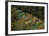 Semuc Champey Waterfalls, Guatemala, Central America-Colin Brynn-Framed Photographic Print