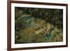 Semuc Champey Waterfalls, Guatemala, Central America-Colin Brynn-Framed Photographic Print