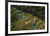 Semuc Champey Waterfalls, Guatemala, Central America-Colin Brynn-Framed Photographic Print