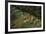 Semuc Champey Waterfalls, Guatemala, Central America-Colin Brynn-Framed Photographic Print