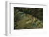 Semuc Champey Waterfalls, Guatemala, Central America-Colin Brynn-Framed Photographic Print