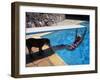 Sen. Barry Goldwater Hanging Underneath Diving Board in Swimming Pool as Dog Licks His Toes-Bill Ray-Framed Photographic Print