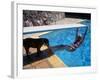 Sen. Barry Goldwater Hanging Underneath Diving Board in Swimming Pool as Dog Licks His Toes-Bill Ray-Framed Photographic Print