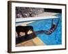 Sen. Barry Goldwater Hanging Underneath Diving Board in Swimming Pool as Dog Licks His Toes-Bill Ray-Framed Photographic Print