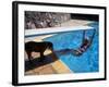 Sen. Barry Goldwater Hanging Underneath Diving Board in Swimming Pool as Dog Licks His Toes-Bill Ray-Framed Photographic Print