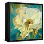 Sen?orita Peony and Buds-Lanie Loreth-Framed Stretched Canvas