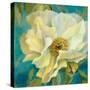 Sen?orita Peony and Buds-Lanie Loreth-Stretched Canvas