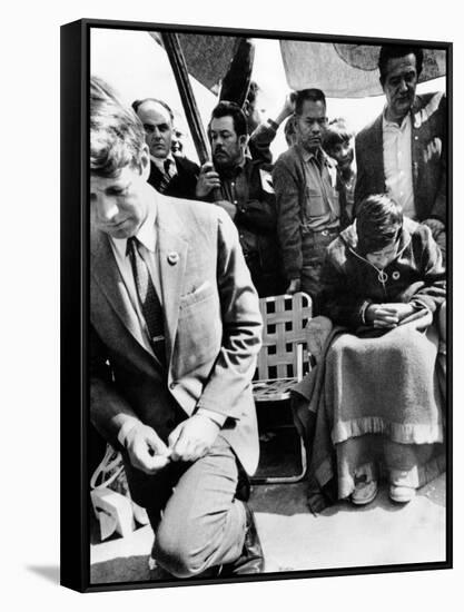 Sen Robert Kennedy Worships with Cesar Chavez-null-Framed Stretched Canvas