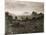 Senafe Valley Where Captain Ciccodicola Attacked Ras Mangasha in 1887-null-Mounted Giclee Print