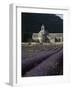 Senanque Abbey and Lavender Field, Vaucluse, Provence, France, Europe-Angelo Cavalli-Framed Photographic Print