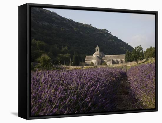 Senanque Abbey and Lavender Field, Vaucluse, Provence, France, Europe-Angelo Cavalli-Framed Stretched Canvas