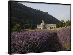 Senanque Abbey and Lavender Field, Vaucluse, Provence, France, Europe-Angelo Cavalli-Framed Photographic Print