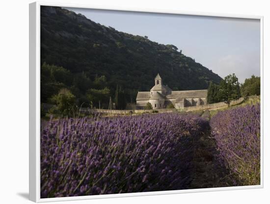 Senanque Abbey and Lavender Field, Vaucluse, Provence, France, Europe-Angelo Cavalli-Framed Photographic Print