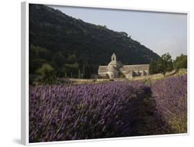 Senanque Abbey and Lavender Field, Vaucluse, Provence, France, Europe-Angelo Cavalli-Framed Photographic Print