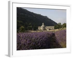 Senanque Abbey and Lavender Field, Vaucluse, Provence, France, Europe-Angelo Cavalli-Framed Photographic Print