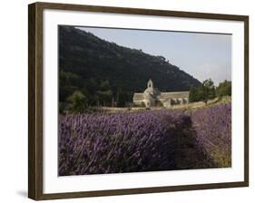 Senanque Abbey and Lavender Field, Vaucluse, Provence, France, Europe-Angelo Cavalli-Framed Photographic Print