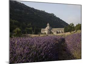 Senanque Abbey and Lavender Field, Vaucluse, Provence, France, Europe-Angelo Cavalli-Mounted Photographic Print