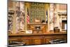 Senate of Minnesota-benkrut-Mounted Photographic Print