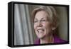 Senate Warren Breaking Rules-null-Framed Stretched Canvas