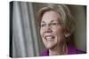 Senate Warren Breaking Rules-null-Stretched Canvas