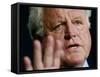 Senator Edward Kennedy Speaks in News Conference on Capitol Hill to Discuss Hate Crime Legislation-null-Framed Stretched Canvas