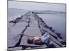 Senator Edward M. Kennedy Basking in Sun on Breakwater in Hyannis Port-John Loengard-Mounted Photographic Print