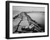 Senator Edward M. Kennedy Taking a Sunbath on Breakwater Near His Summer Home-John Loengard-Framed Photographic Print