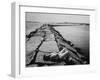 Senator Edward M. Kennedy Taking a Sunbath on Breakwater Near His Summer Home-John Loengard-Framed Photographic Print