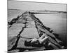 Senator Edward M. Kennedy Taking a Sunbath on Breakwater Near His Summer Home-John Loengard-Mounted Photographic Print