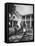 Senator Lyndon B. Johnson W. Family and Pets at Home on Ranch-null-Framed Stretched Canvas