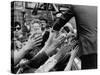 Senator Robert F. Kennedy Campaigning in Indiana During Presidential Primary-Bill Eppridge-Stretched Canvas