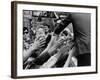 Senator Robert F. Kennedy Campaigning in Indiana During Presidential Primary-Bill Eppridge-Framed Photographic Print