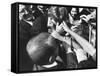 Senator Robert F. Kennedy Campaigning-Bill Eppridge-Framed Stretched Canvas