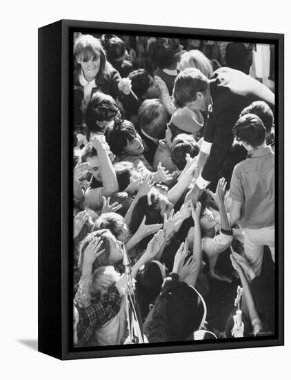 Senator Robert F. Kennedy Mobbed by Youthful Admirers During Campaign-Bill Eppridge-Framed Stretched Canvas