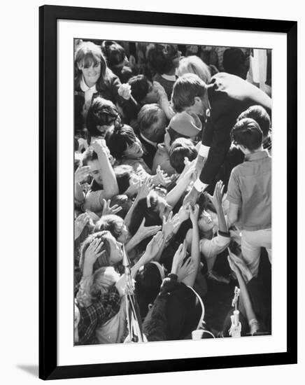 Senator Robert F. Kennedy Mobbed by Youthful Admirers During Campaign-Bill Eppridge-Framed Photographic Print