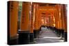 Senbon Torii (1,000 Torii Gates), Fushimi Inari Taisha Shrine, Kyoto, Japan-Stuart Black-Stretched Canvas