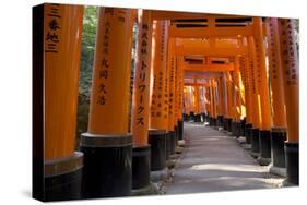 Senbon Torii (1,000 Torii Gates), Fushimi Inari Taisha Shrine, Kyoto, Japan-Stuart Black-Stretched Canvas