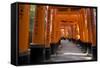 Senbon Torii (1,000 Torii Gates), Fushimi Inari Taisha Shrine, Kyoto, Japan-Stuart Black-Framed Stretched Canvas