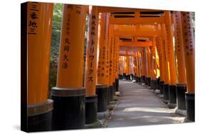 Senbon Torii (1,000 Torii Gates), Fushimi Inari Taisha Shrine, Kyoto, Japan-Stuart Black-Stretched Canvas