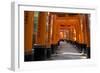 Senbon Torii (1,000 Torii Gates), Fushimi Inari Taisha Shrine, Kyoto, Japan-Stuart Black-Framed Photographic Print