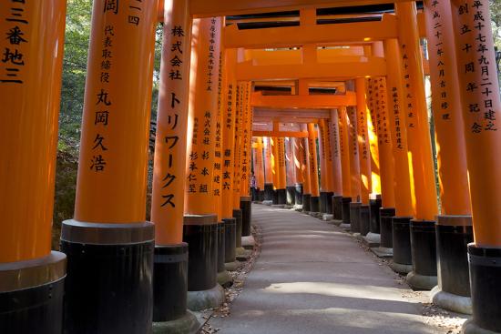 Senbon Torii 1 000 Torii Gates Fushimi Inari Taisha Shrine Kyoto Japan Photographic Print Stuart Black Allposters Com Senbon Torii 1 000 Torii Gates Fushimi Inari Taisha Shrine Kyoto Japan Photographic Print Stuart Black Allposters Com